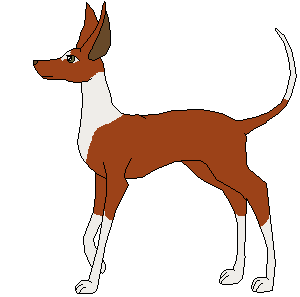 Dymo, Male